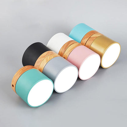 Scandinavian Macaron LED Ceiling Light | Wooden Accent Flush Mount