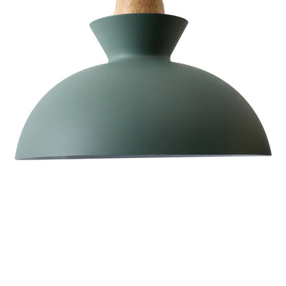 Modern Single Pendant Dome Light | Scandinavian Metal Hanging Lamp