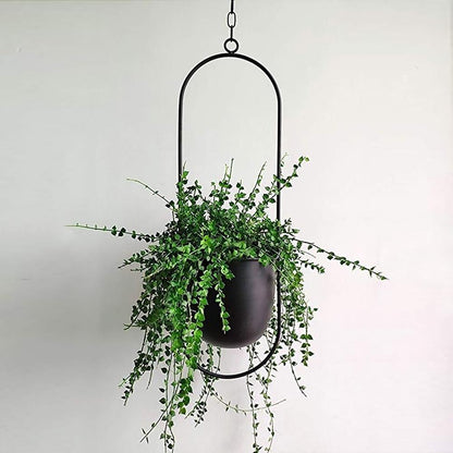FloraFrame Hanging Planter | Modern Minimalist Iron Design